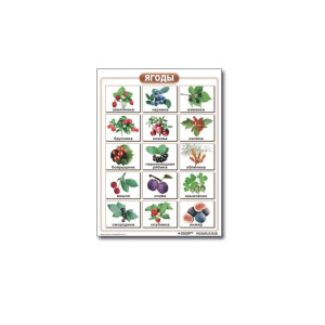 ОКРУЖАЮЩИЙ МИР_2 ОКРУЖАЮЩИЙ МИР_2