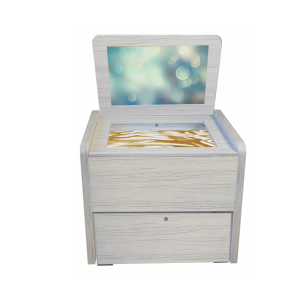 ИНА-011 (3) ИНА-011 (3)